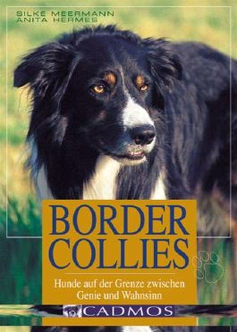 anita hermes border collie|Border Collies: Hunde auf der Grenze zwischen Genie und .